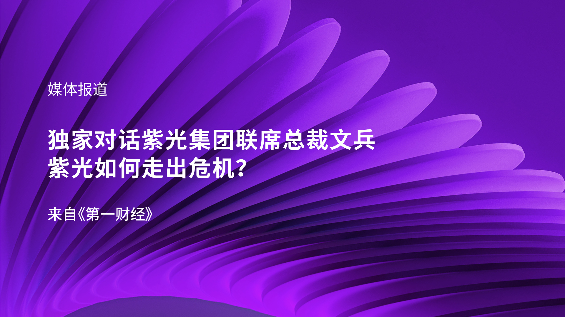 独家对话必赢联席总裁文兵：紫光如何走出危机